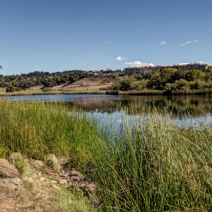 Santa Rosa